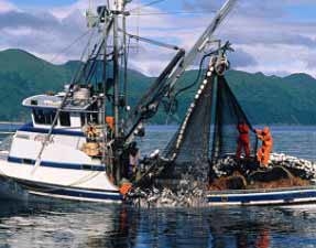 Alaska Salmon Purse Seiner Button