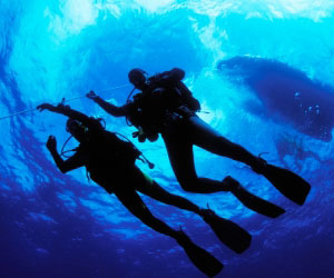Divers Ascending Photo