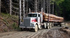 Logging Truck Hauling Logs Photo