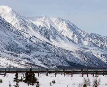 Trans-Alaska Oil Pipeline Photo