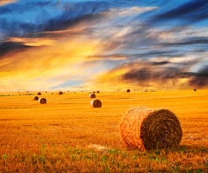 Sunset with colorful clouds behind hay bales on farm picture