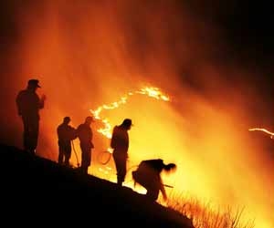 Forest Fire Fighting Jobs are Prevalent in Areas Which Have Extreme Dry Seasons