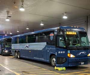 Greyhound Bus Jobs Require you to be on Call at All Times 