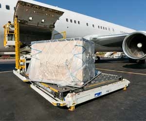 Airline Ramp Personel are Important for the Success of the Airline Industry
