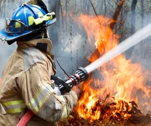 Forest Fire Fighters Tend to Work in Environments Which can be Hazardous and Dangerous