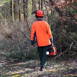 Forest Workers are a Staple in the U.S. Forest Service