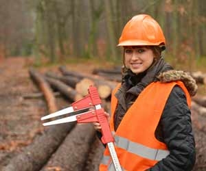 Forestry Technicians are Integral for Data Collection and Analysis
