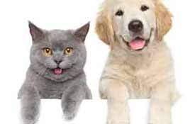 In Larger Retail Stores There are Various Departments Within the Store Such as Pets Photo Button