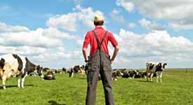 Animal Farming is a Profitable Sector in Farming Today Photo Button